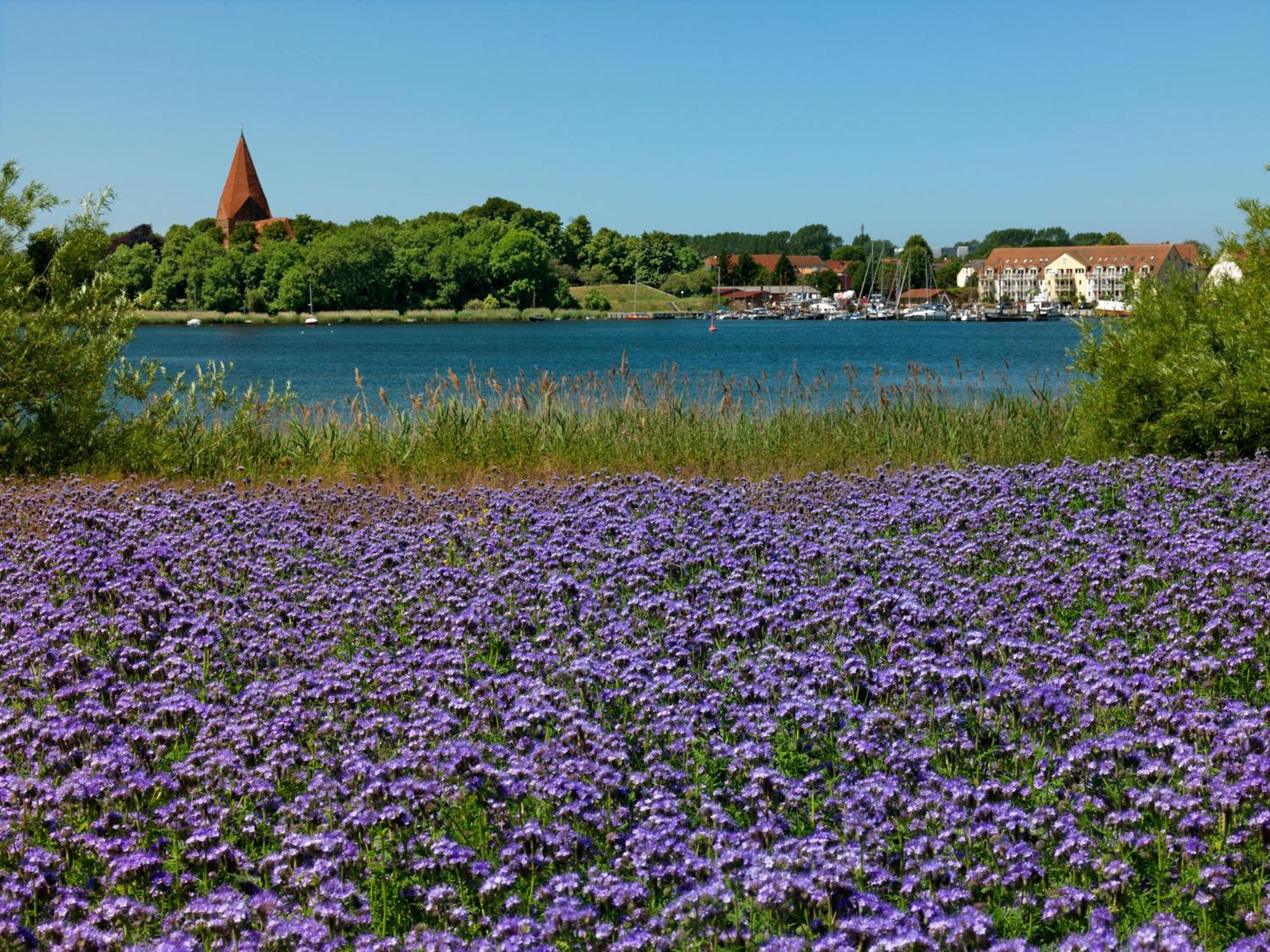 Daenisches Ferienhaus Kaltenhof Eksteriør bilde